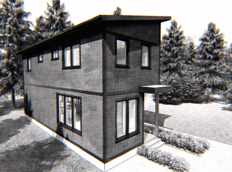 Rendering of the city tall 1100 series plan with black windows, mono roof and flat awning porch.